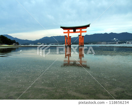 廣島縣，嚴島神社，大鳥居（2015） 118656234