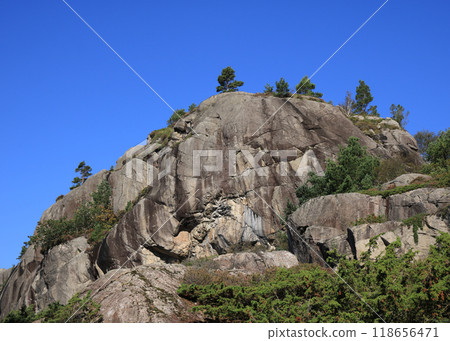 Trees growing on a rock formation in Rogaland, Norway. Trees growing on a rock formation in Rogaland, Norway. 118656471
