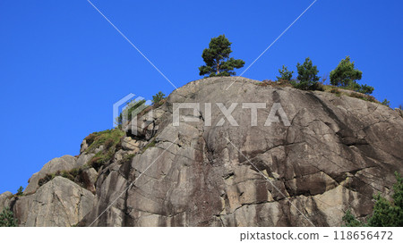 Trees growning on almost bare rock in Egersund, Norway. Trees growning on almost bare rock in Egersund, Norway. 118656472