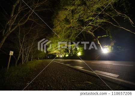 中津市（矢馬溪町）尚志楓葉的夜晚 118657206