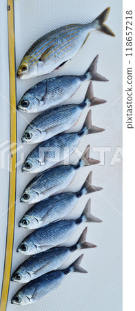 Fishing catch Fishing catch 118657218