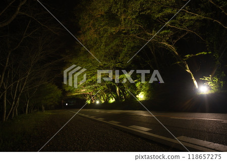 中津市（矢馬溪町）尚志楓葉的夜晚 118657275