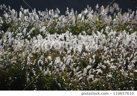 由布市(由布院町)山波公路紗霧台展望台 由布市(由布院町)山波公路紗霧台展望台 118657610