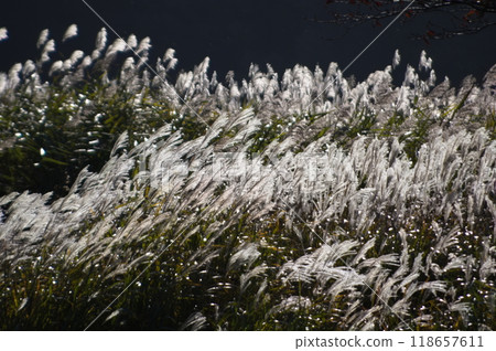 由布市(由布院町)山波公路紗霧台展望台 由布市(由布院町)山波公路紗霧台展望台 118657611