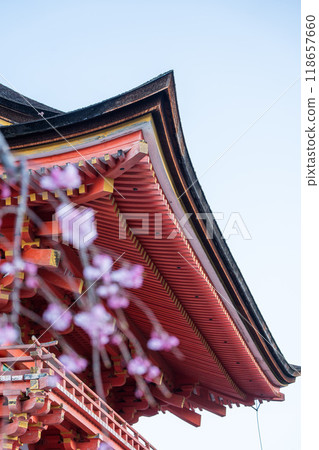 [京都] 清水寺_櫻花 118657660