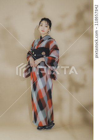 A woman in a kimono Meisen with a geometric pattern 118657842