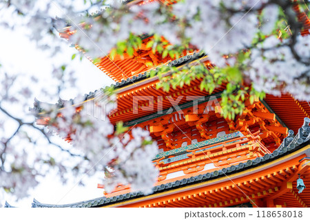 [京都] 清水寺_櫻花 118658018