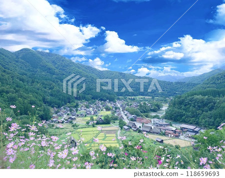 Shirakawago Shirakawago 118659693