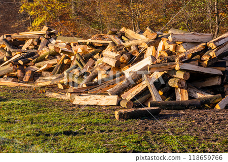 chopped firewood. sustainable energy concept. wood texture. outdoor scene of everyday rural life. ecological fuel background 118659766