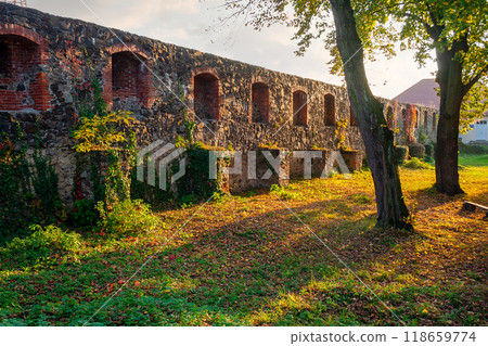 uzhhorod, ukraine - 12 oct 2008: stone castle wall in evening light. urban scenery in autumn. ivy plant and colorful foliage. inner courtyard. popular travel destination uzhhorod, ukraine - 12 oct 2008: stone castle wall in evening light. urban scenery in autumn. ivy plant and colorful foliage. inner courtyard. popular travel destination 118659774