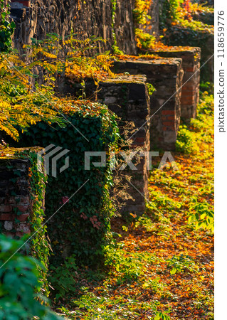 uzhhorod, ukraine - 12 oct 2008: stone castle wall in evening light. urban scenery in autumn. ivy plant and colorful foliage. inner courtyard. popular travel destination uzhhorod, ukraine - 12 oct 2008: stone castle wall in evening light. urban scenery in autumn. ivy plant and colorful foliage. inner courtyard. popular travel destination 118659776
