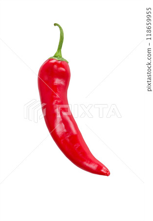Pepper Chili isolated on white 118659955