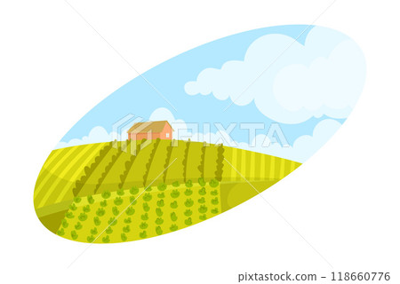 Organic Farming Green Rural Field with Crop Growing Vector Illustration 118660776