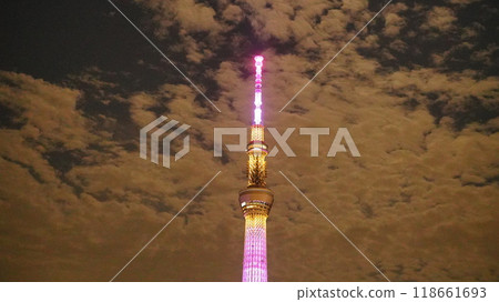 在夜空中閃耀的天空樹 在夜空中閃耀的天空樹 118661693