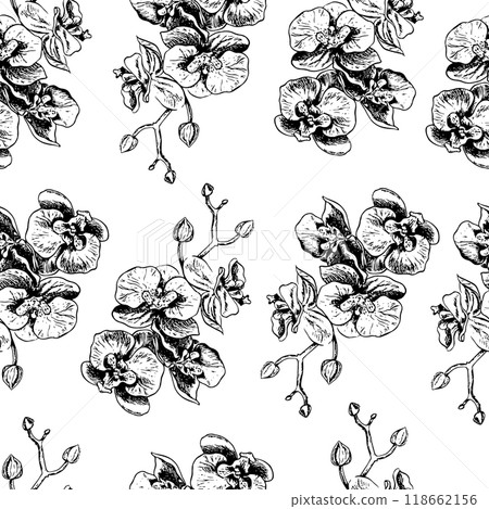 Seamless orchid pattern. A black and white vector graphic illustration made by hand. Blooming orchid branches on a white background. For packages, labels, flyers and textiles. Seamless orchid pattern. A black and white vector graphic illustration made by hand. Blooming orchid branches on a white background. For packages, labels, flyers and textiles. 118662156