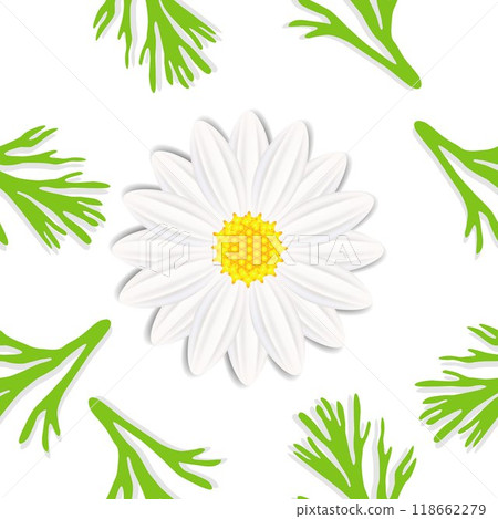 Abstract daisy with leaves on a white background, modern seamless pattern. 118662279