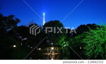 Fresh greenery and the Skytree reflected in the pond 118662332