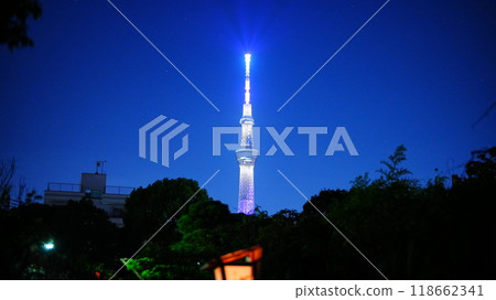 Lighted Sky Tree 118662341