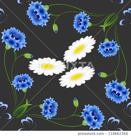 Blue cornflowers with butterflies and chamomiles on a black background, seamless pattern. 118662368
