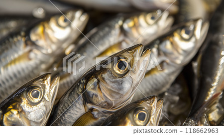 A cluster of fresh fish with shiny scales. 118662963