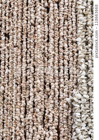 Natural seashell curtain creating a unique coastal decor for interior spaces 118663668