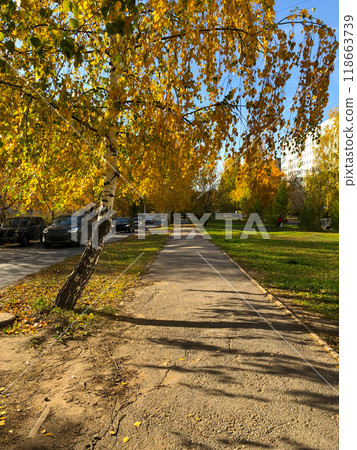 A serene autumn season along a tree-lined pathway, dappled in golden sunlight. Vibrant fall foliage against a backdrop of urban architecture and harmonious blend of nature and city life. Nature and 118663739