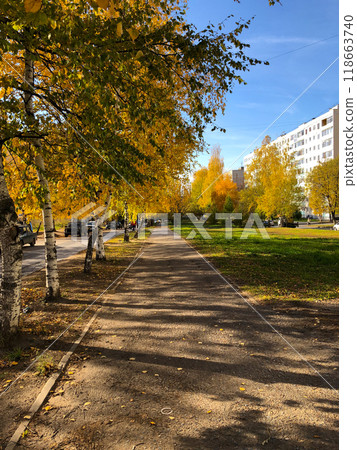 A serene autumn season along a tree-lined pathway, dappled in golden sunlight. Vibrant fall foliage against a backdrop of urban architecture and harmonious blend of nature and city life. Nature and 118663740