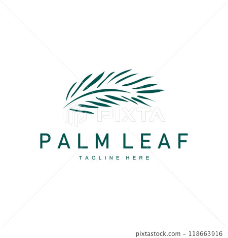 Palm Leaf Logo, Green Plant Design Vector Illustration Template 118663916