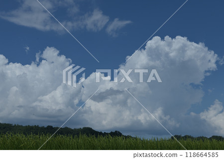 北斗市白州町，夏日天空中高高升起的雷雲 118664585