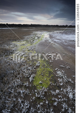 Saltpeter on the floor of a lagoon in a semi desert environment, La Pampa province, Patagonia, Argentina. Saltpeter on the floor of a lagoon in a semi desert environment, La Pampa province, Patagonia, Argentina. 118664693