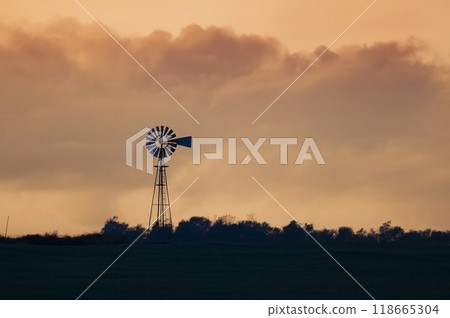 Windmill in countryside at sunset, Pampas, Patagonia,Argentina. 118665304