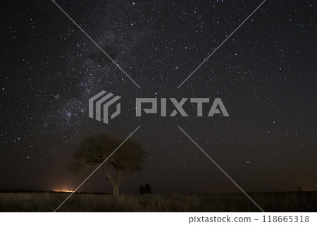 Pampas landscape photographed at night with a starry sky, La Pampa province, Patagonia , Argentina. 118665318