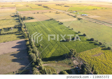Silo bag filled with soy beans, La Pampa Province, Patagonia, Argentina. 118665372