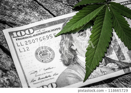 Money and marijuana. Concept of business, medicine and selling hemp, drugs. 118665729