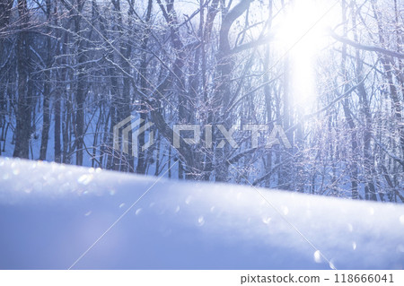 Frost on Satoyama due to radiative cooling (around Lake Onbara) 118666041