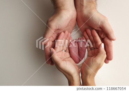 The palms of the parents. A father and mother hold the feet of a newborn child in a white blanket on a white background.. The feet of a newborn in the hands of parents. Photo of foot, heels and toes 118667054