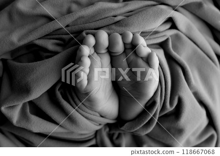 Foot of a newborn. Close up feet, toes, heels, feet of a newborn baby. Studio monochrome, vintage style, black and white macro photography. Foot of a newborn. Close up feet, toes, heels, feet of a newborn baby. Studio monochrome, vintage style, black and white macro photography. 118667068