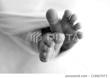 Foot of a newborn. Close up feet, toes, heels, feet of a newborn baby. Studio monochrome, vintage style, black and white macro photography. 118667071