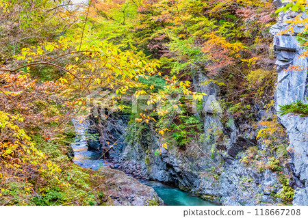 山梨縣，丹波谷，秋葉 118667208
