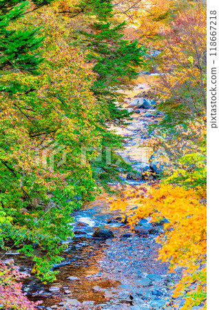 山梨縣,丹波谷,秋葉 山梨縣,丹波谷,秋葉 118667218