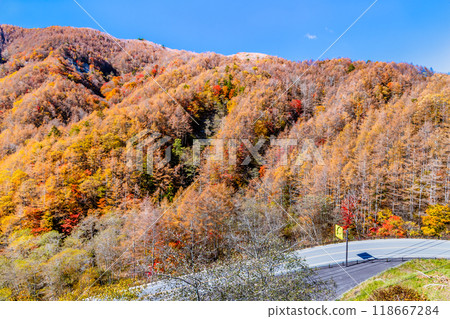Yamanashi - Autumn leaves in the Tanba Valley, Yanagisawa Pass 118667284