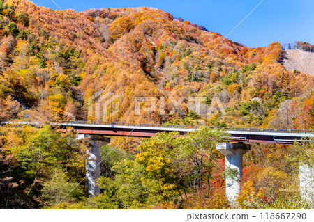 Yamanashi - Autumn leaves in the Tanba Valley, Yanagisawa Pass Yamanashi - Autumn leaves in the Tanba Valley, Yanagisawa Pass 118667290