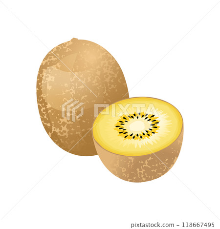 金色奇異果插畫 金色奇異果插畫 118667495