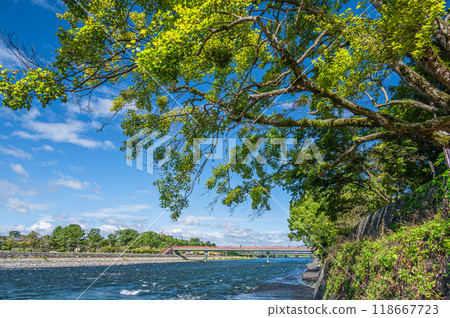 Uji River, Asagiri Bridge, Uji City, Kyoto Prefecture Uji River, Asagiri Bridge, Uji City, Kyoto Prefecture 118667723