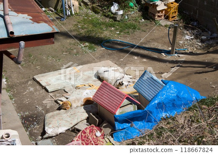 有狗屋的風景 有狗屋的風景 118667824
