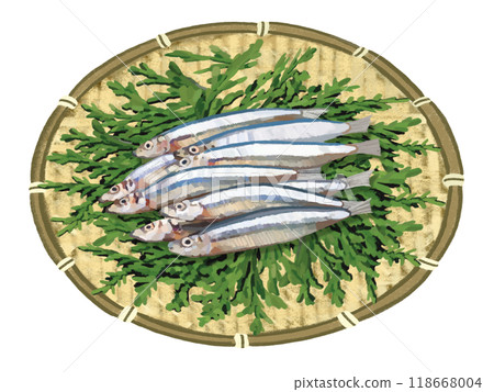 Kibinago（有漏杓和柏葉） 118668004