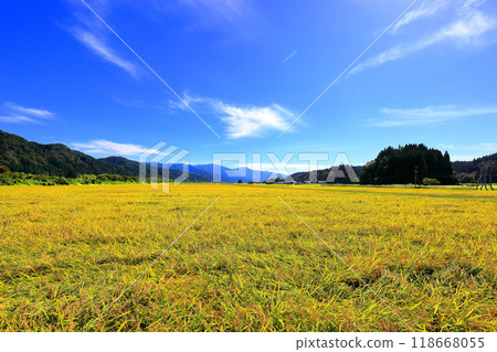 莊內町丘陵山地：秋季稻田成熟 118668055