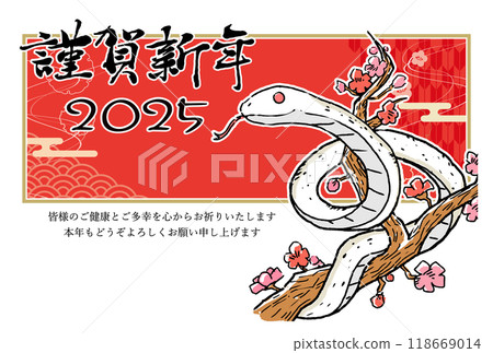 2025 Year of the Snake New Year's card illustration 118669014