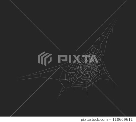 Spiderweb Halloween creepy decor realistic vector icon Spiderweb Halloween creepy decor realistic vector icon 118669611