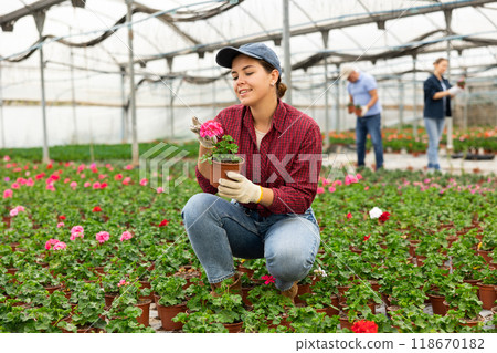 Young woman holding flower pot with peralgonium 118670182